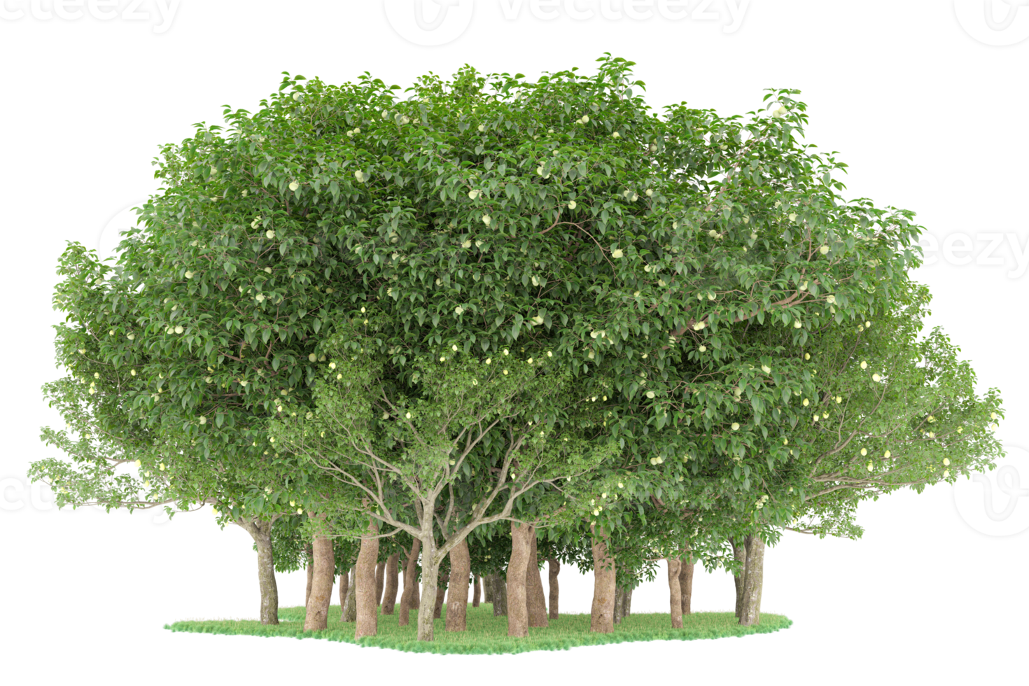 Realistic forest isolated on transparent background. 3d rendering - illustration png