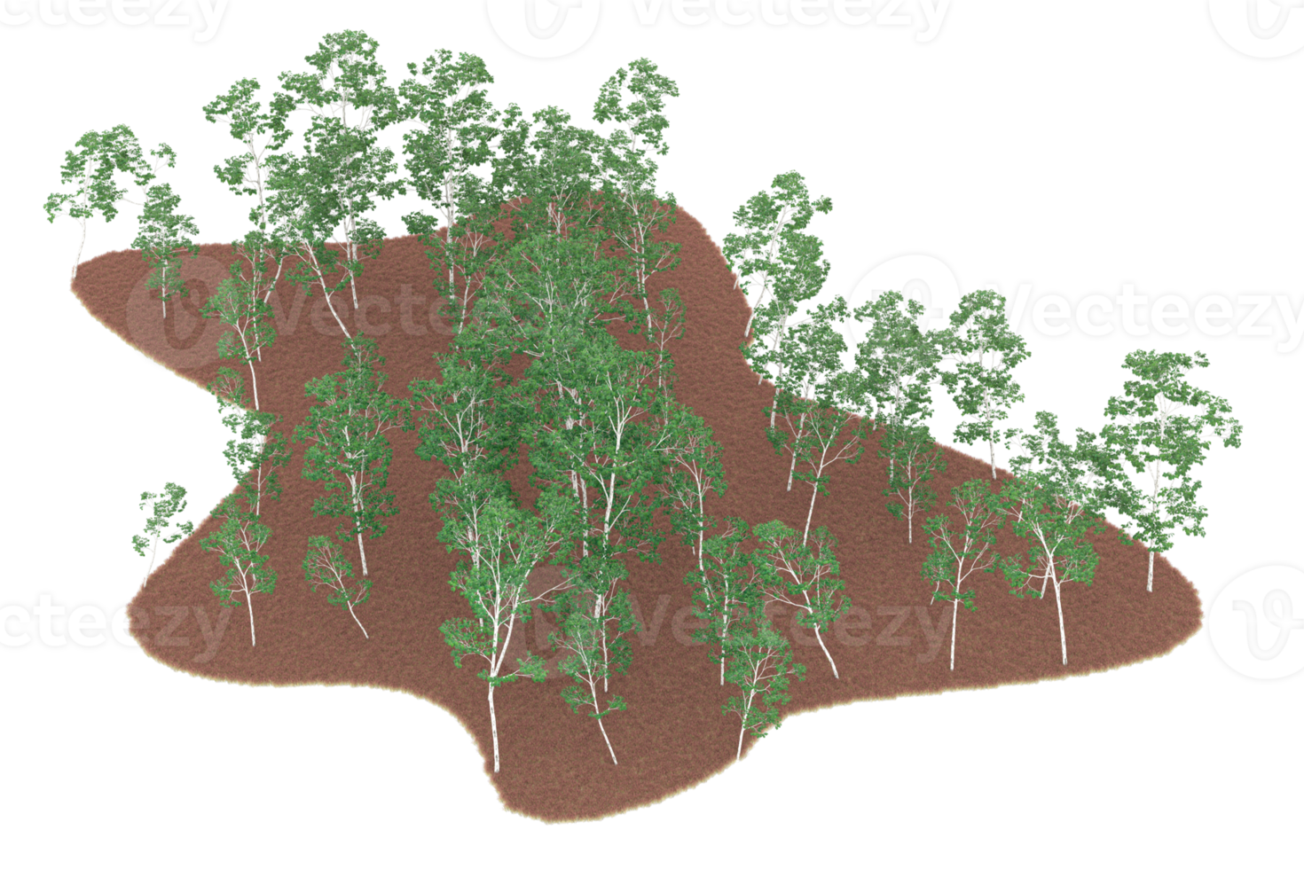 Realistic forest isolated on transparent background. 3d rendering - illustration png