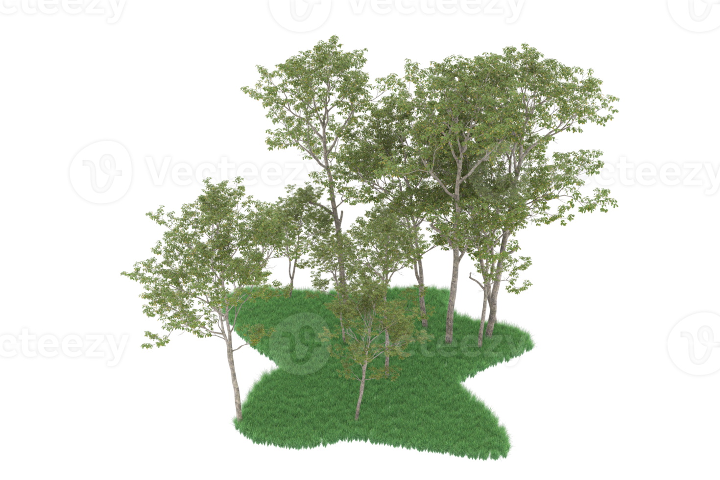 Realistic forest isolated on transparent background. 3d rendering - illustration png