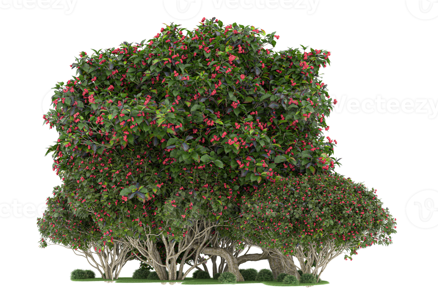 Realistic forest isolated on transparent background. 3d rendering - illustration png