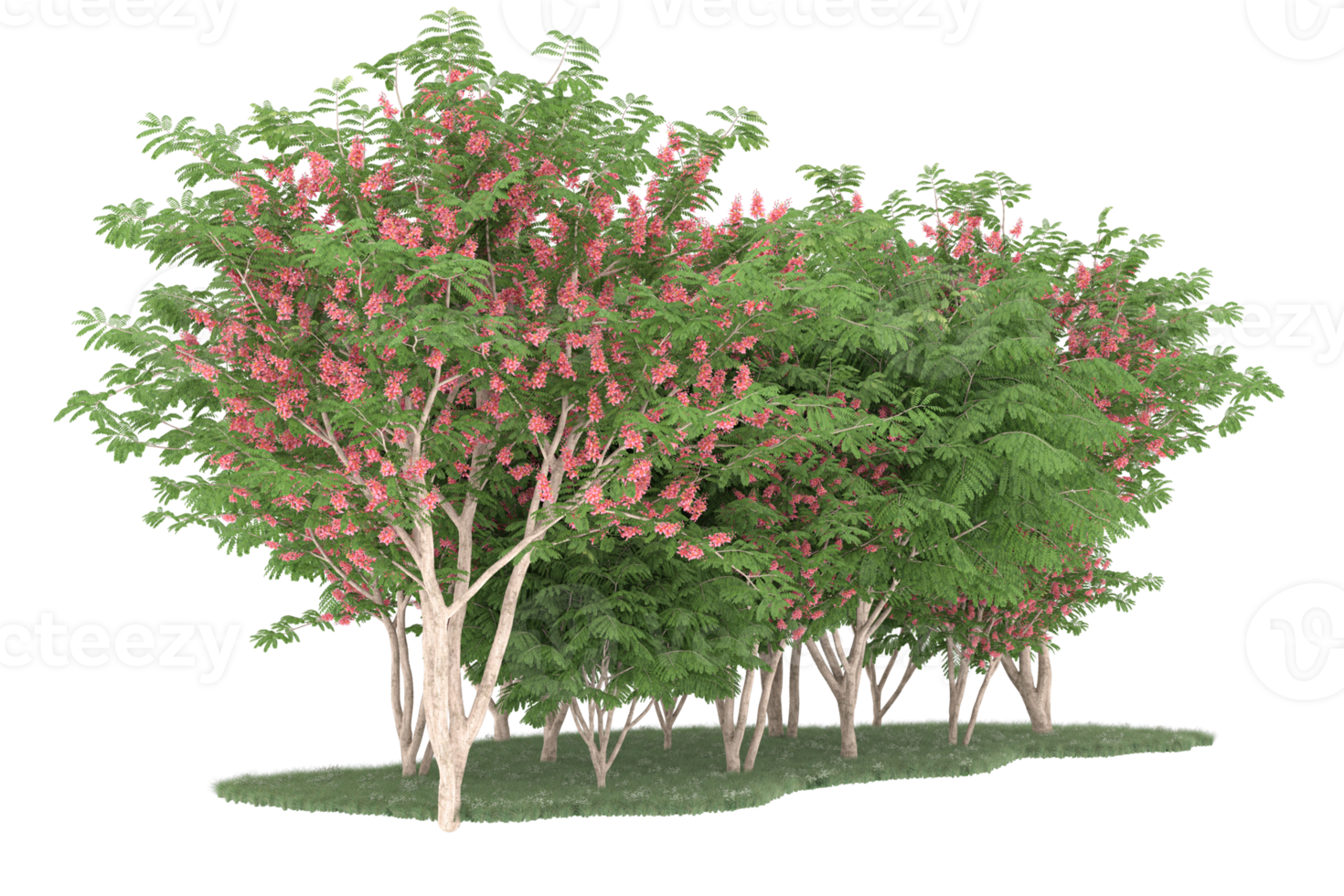 Realistic forest isolated on transparent background. 3d rendering - illustration png