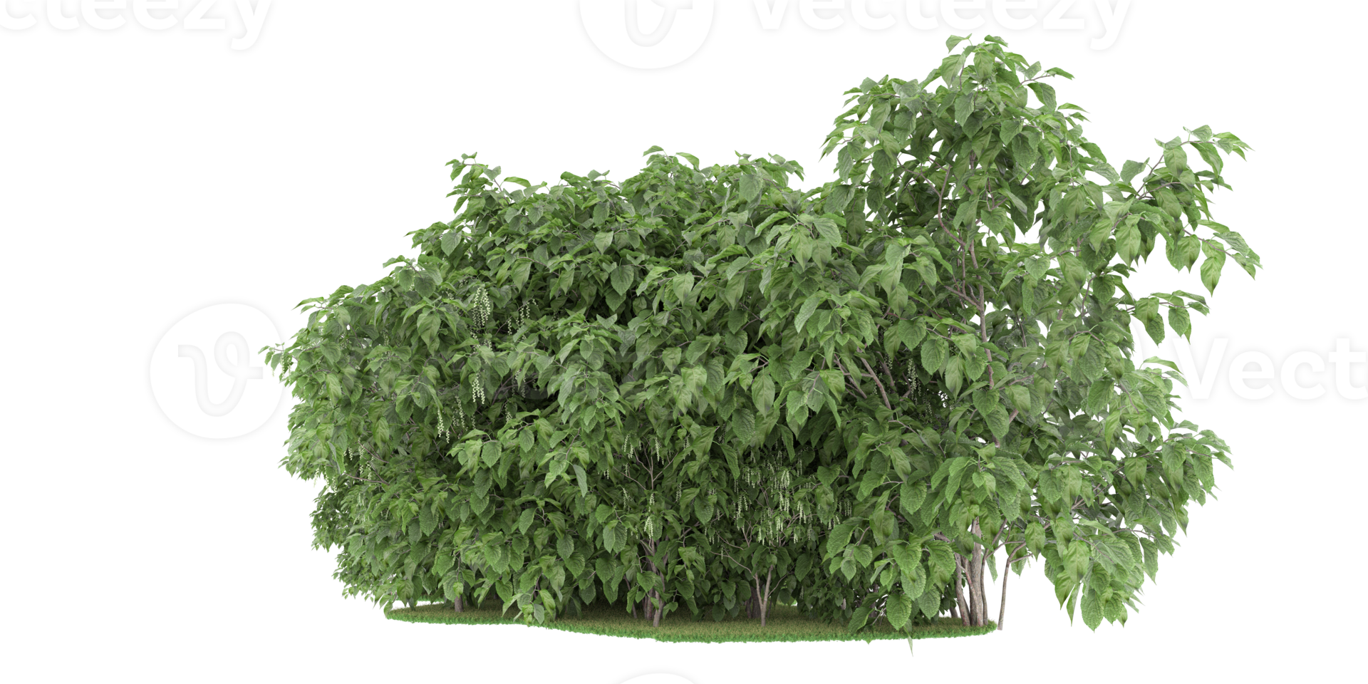 Realistic forest isolated on transparent background. 3d rendering - illustration png