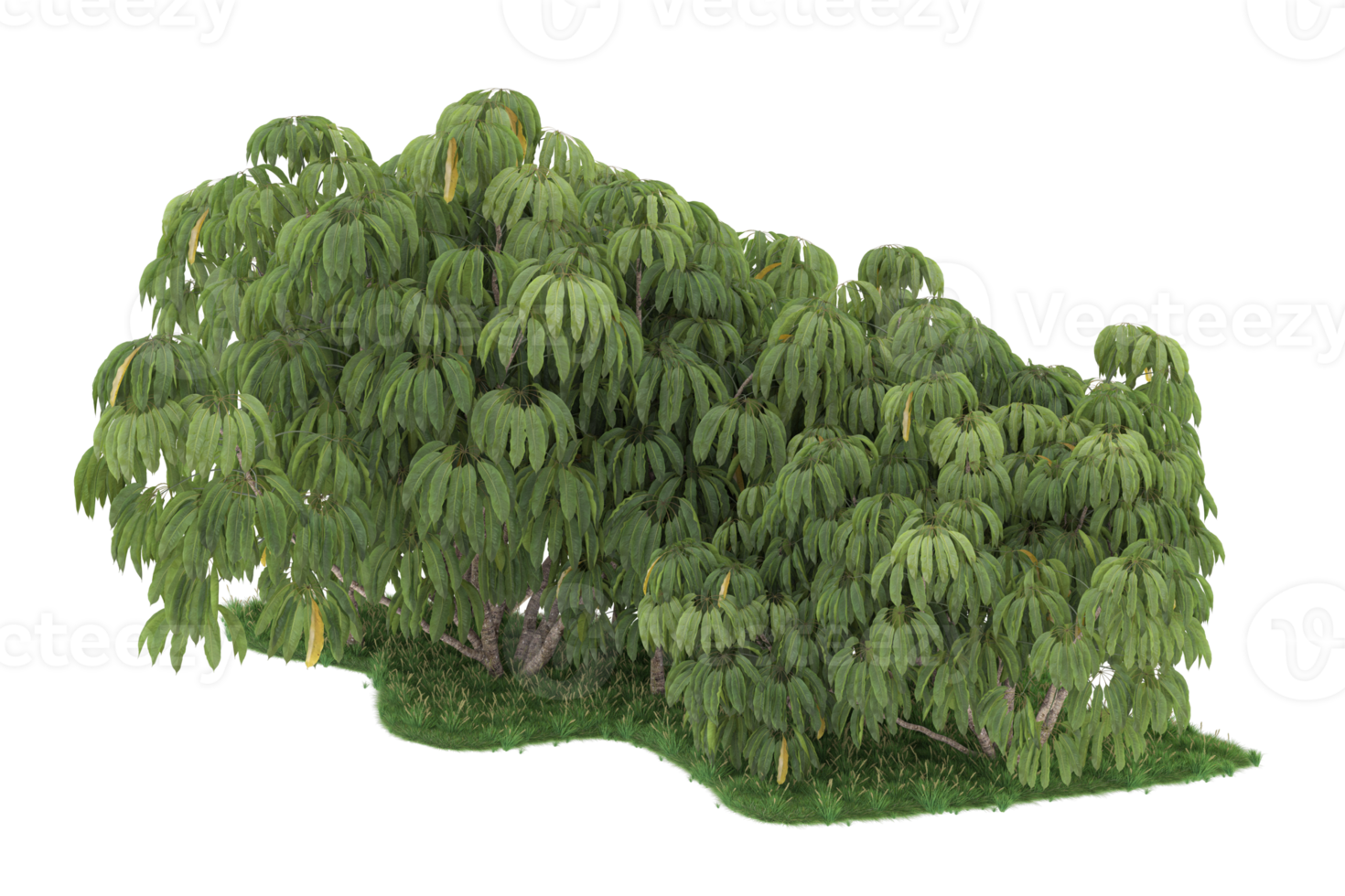 realistico foresta isolato su trasparente sfondo. 3d interpretazione - illustrazione png