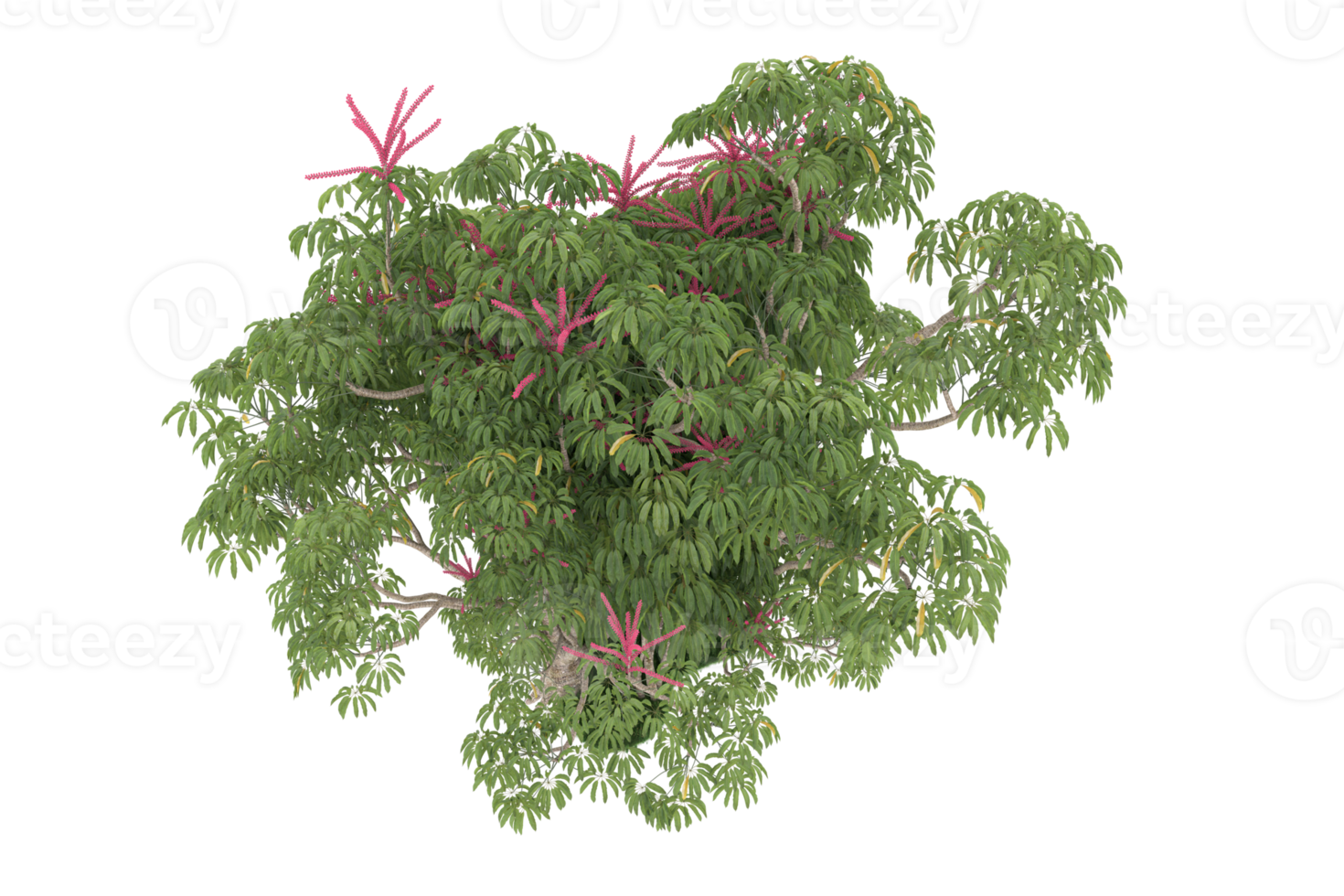Realistic forest isolated on transparent background. 3d rendering - illustration png