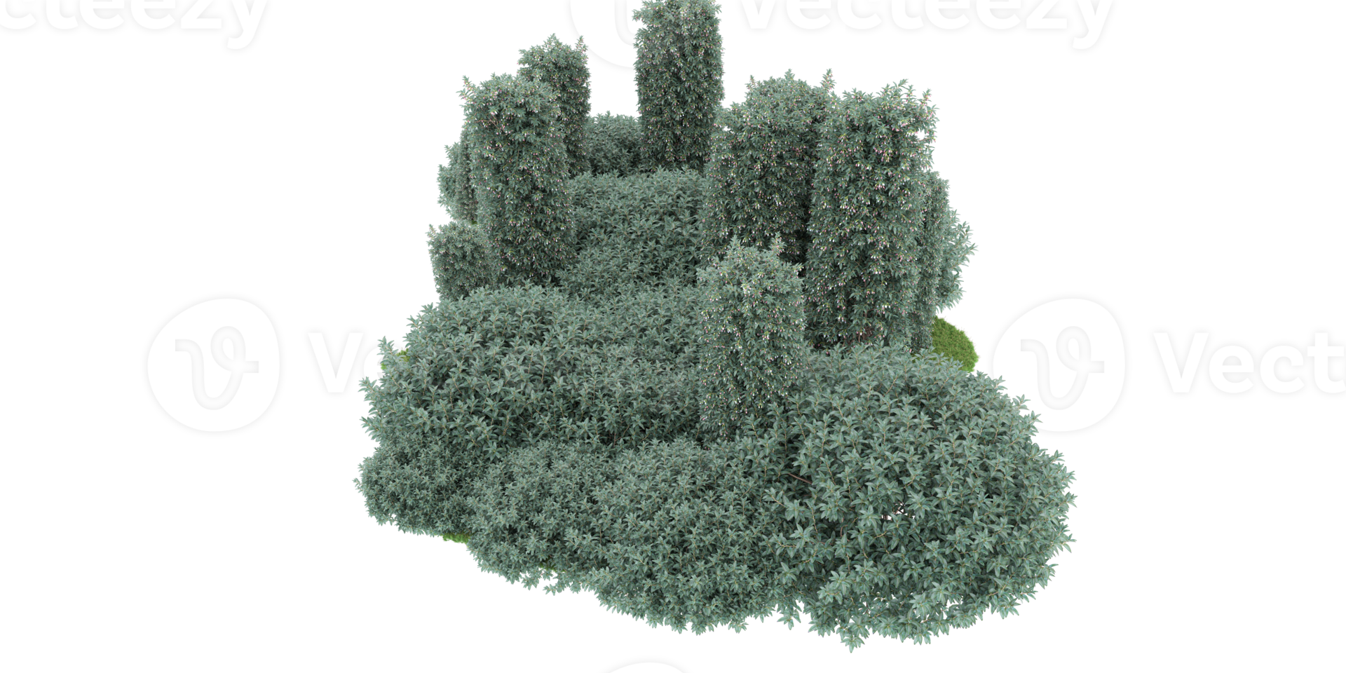 Realistic forest isolated on transparent background. 3d rendering - illustration png