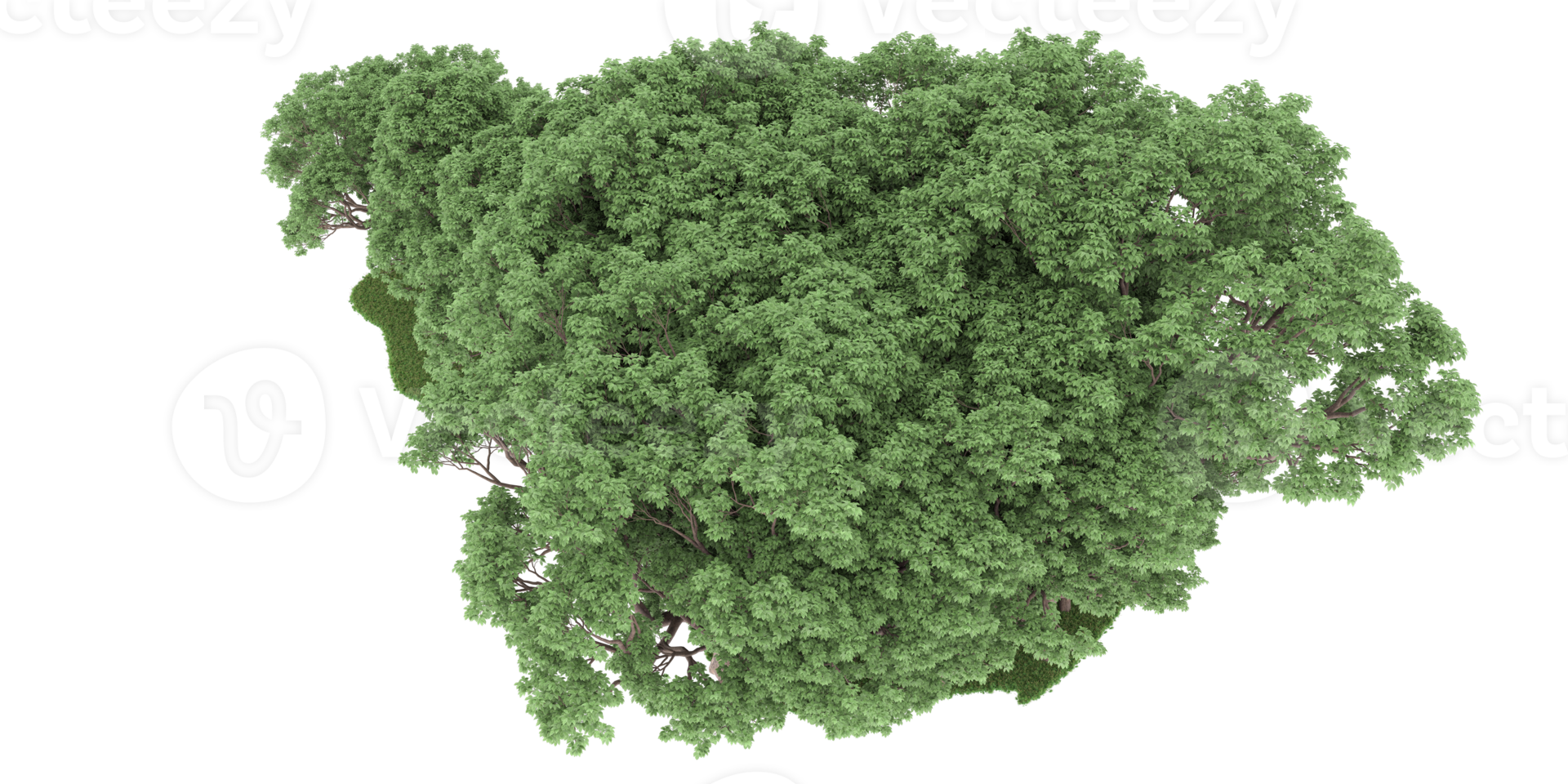 Realistic forest isolated on transparent background. 3d rendering - illustration png