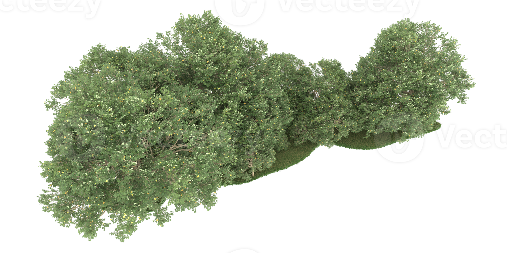 Realistic forest isolated on transparent background. 3d rendering - illustration png