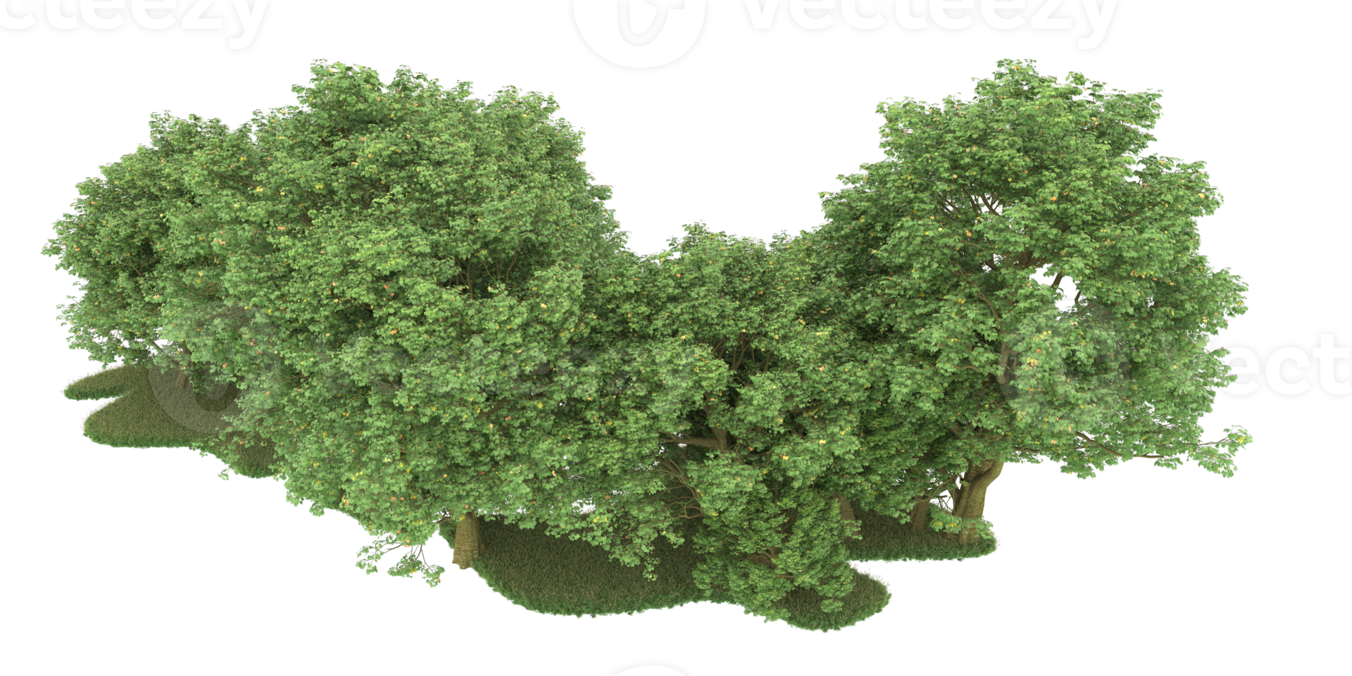 Realistic forest isolated on transparent background. 3d rendering - illustration png