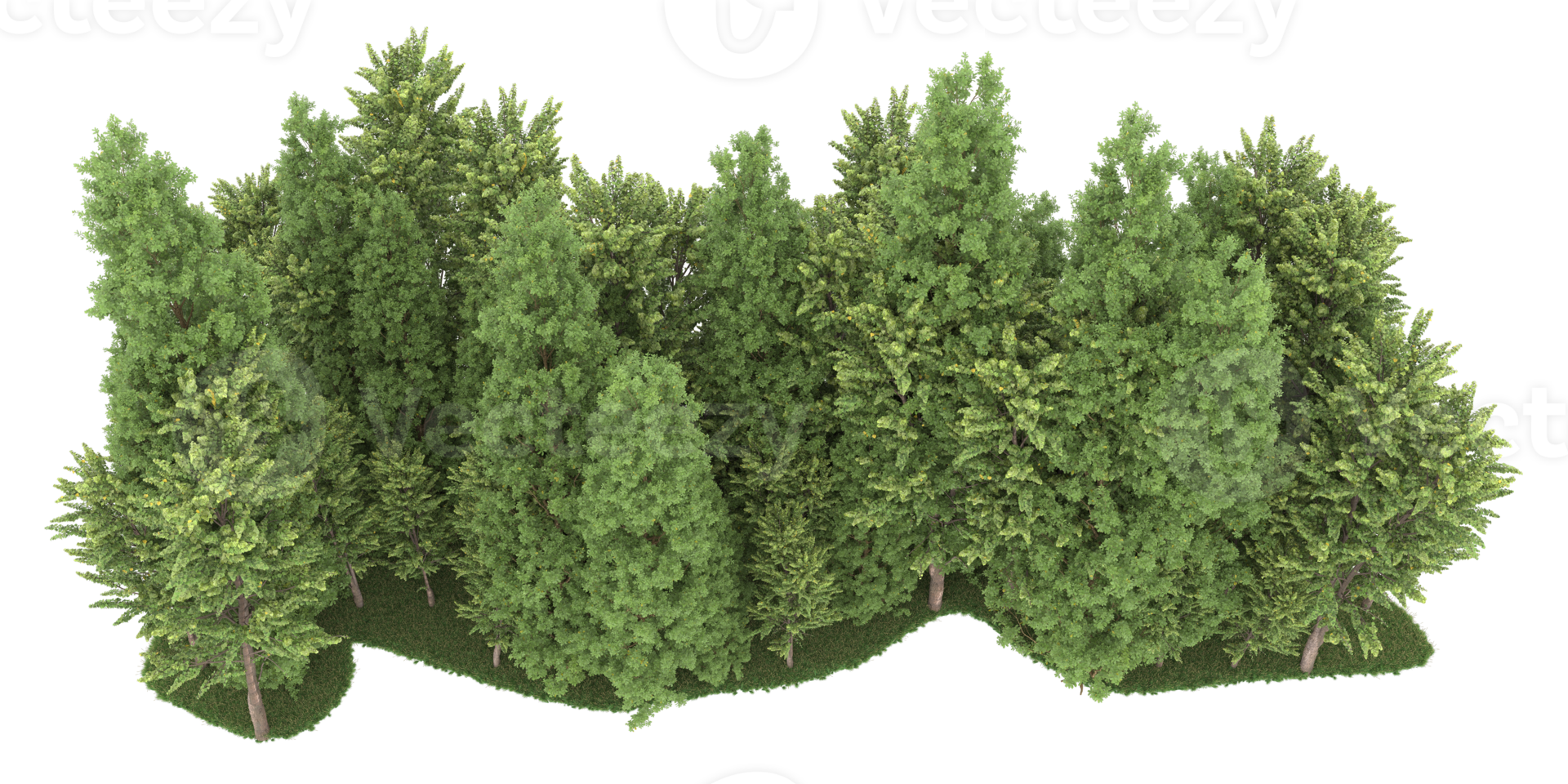 Realistic forest isolated on transparent background. 3d rendering - illustration png