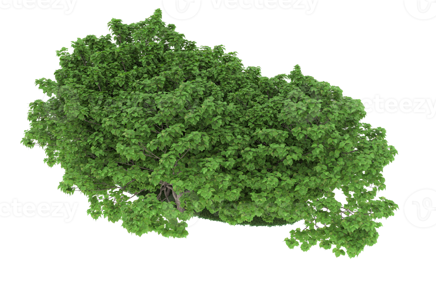 Realistic forest isolated on transparent background. 3d rendering - illustration png