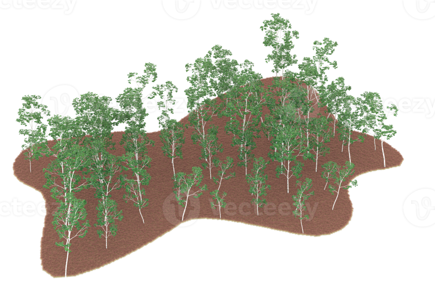 Realistic forest isolated on transparent background. 3d rendering - illustration png