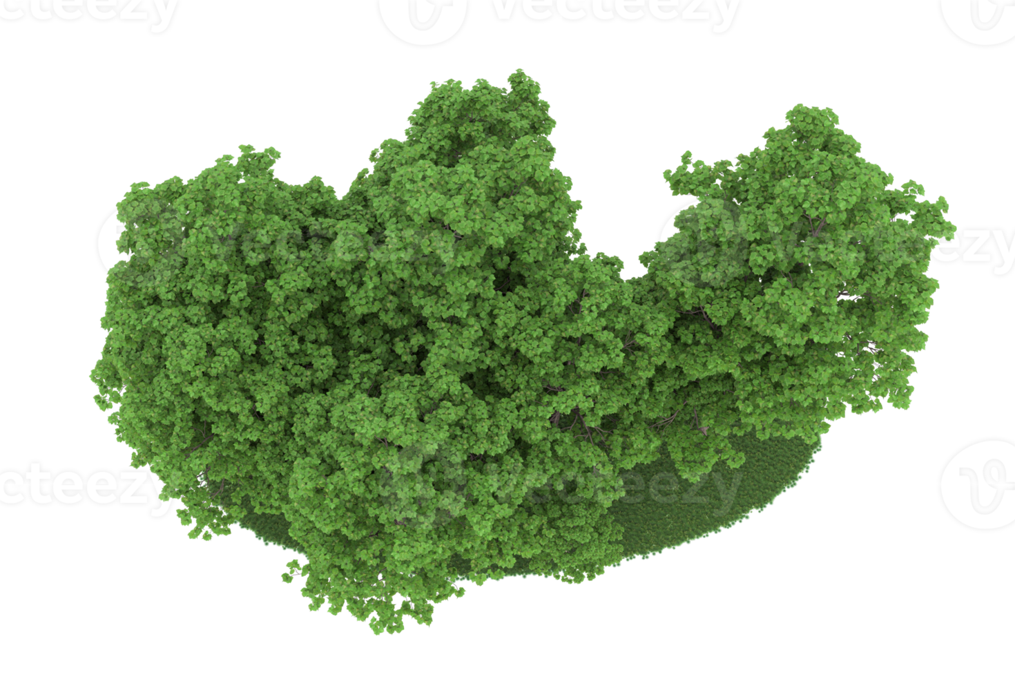 Realistic forest isolated on transparent background. 3d rendering - illustration png