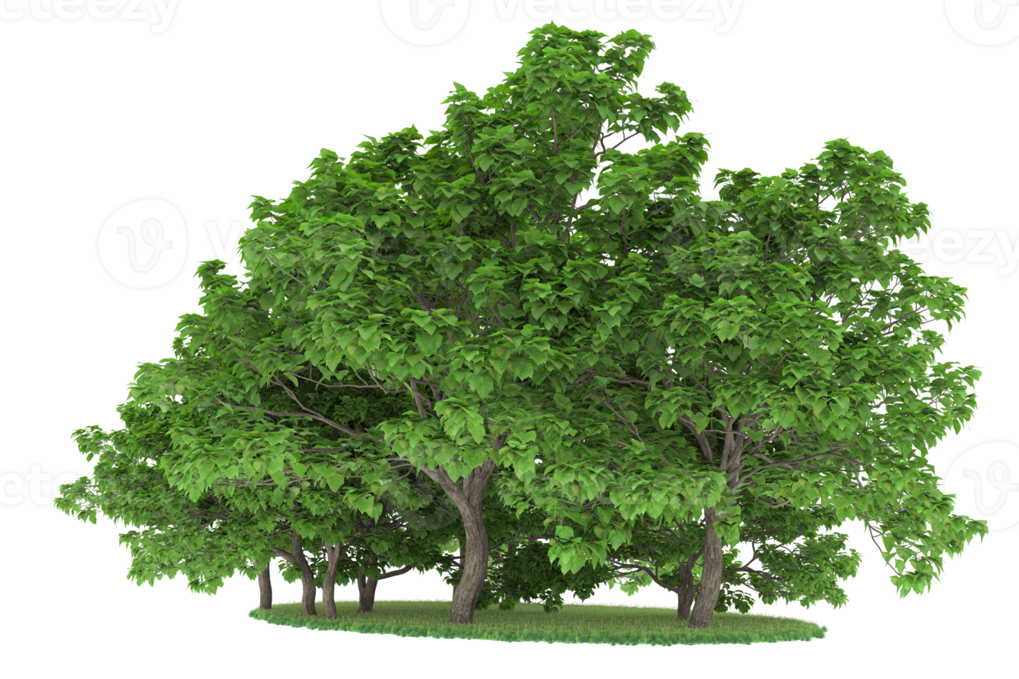 Realistic forest isolated on transparent background. 3d rendering - illustration png