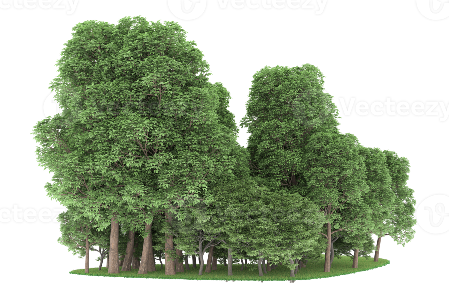 Realistic forest isolated on transparent background. 3d rendering - illustration png