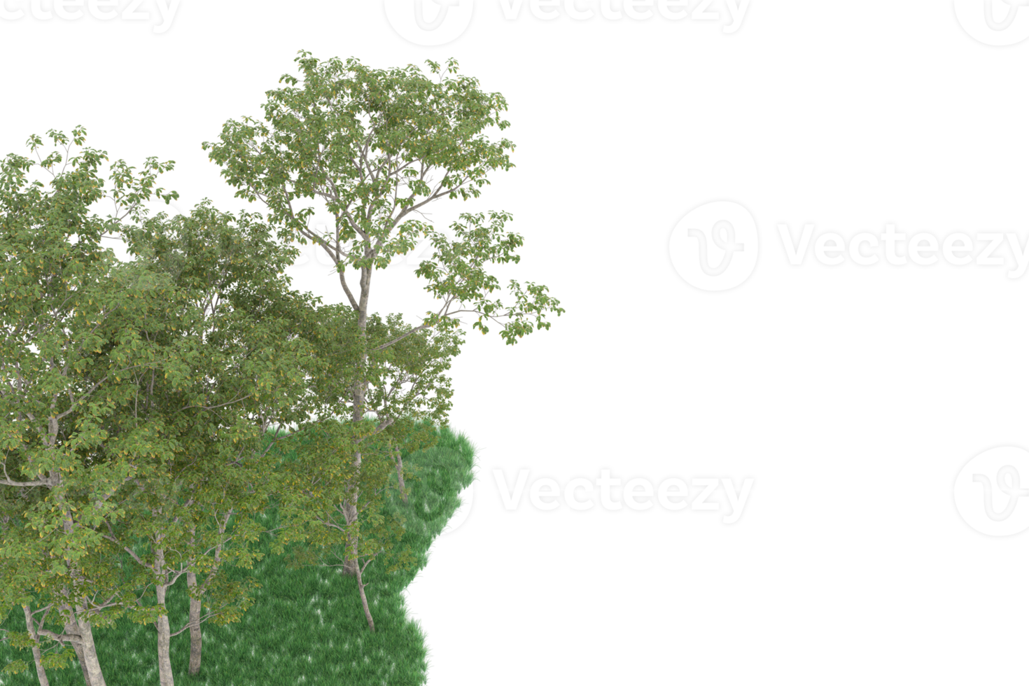 Realistic forest isolated on transparent background. 3d rendering - illustration png
