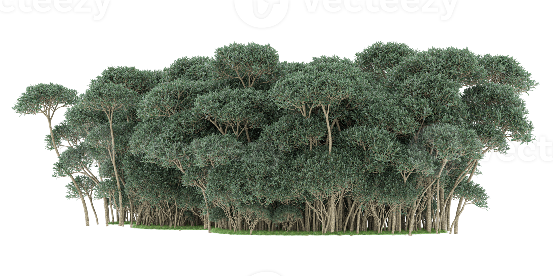 realistico foresta isolato su trasparente sfondo. 3d interpretazione - illustrazione png