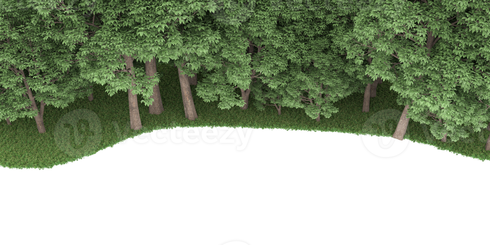 realistico foresta isolato su trasparente sfondo. 3d interpretazione - illustrazione png