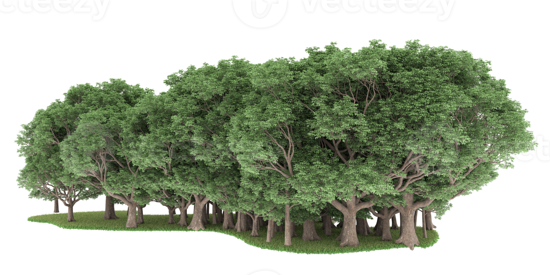 Realistic forest isolated on transparent background. 3d rendering - illustration png