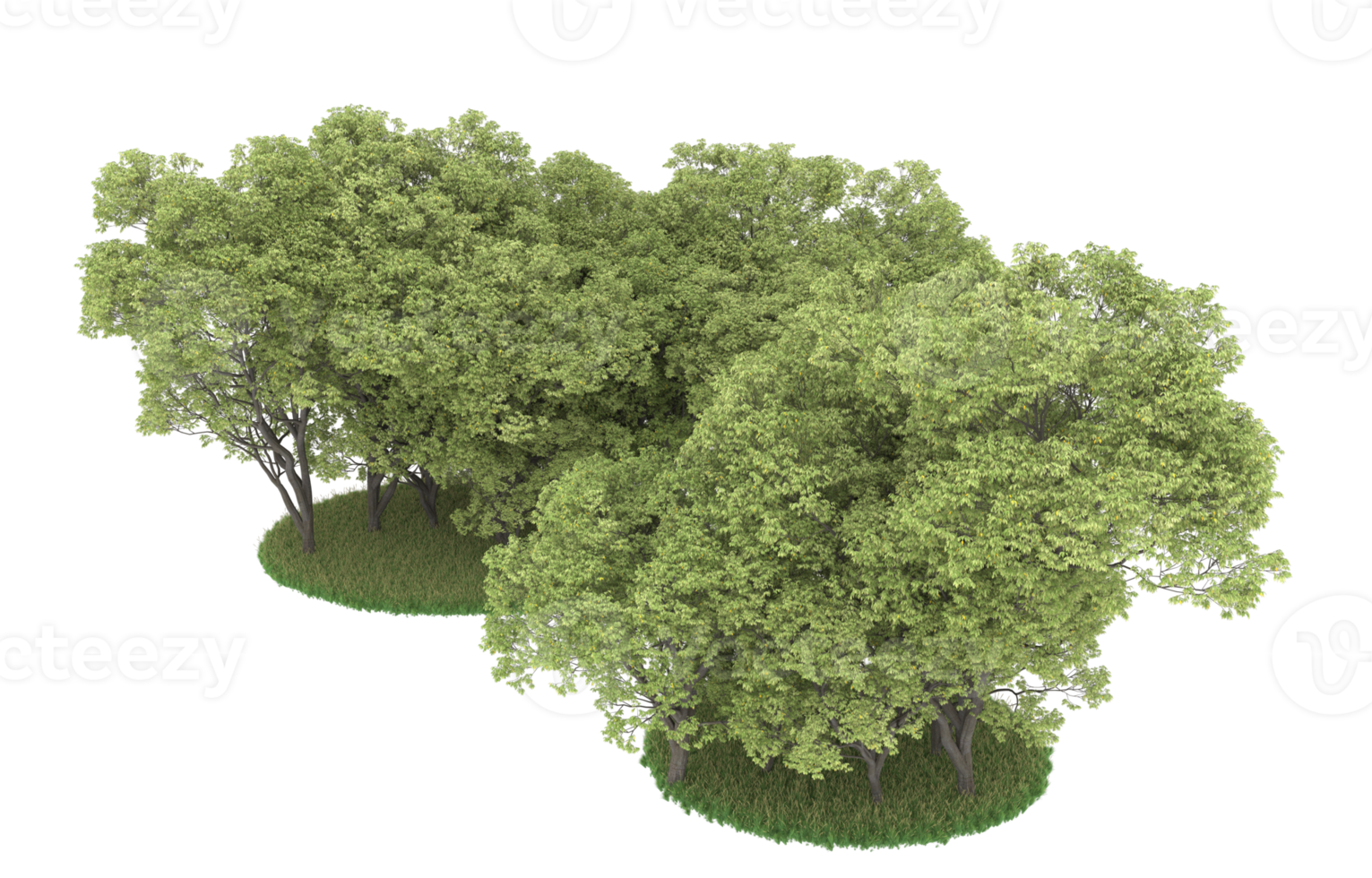 Realistic foliage isolated on transparent background. 3d rendering - illustration png