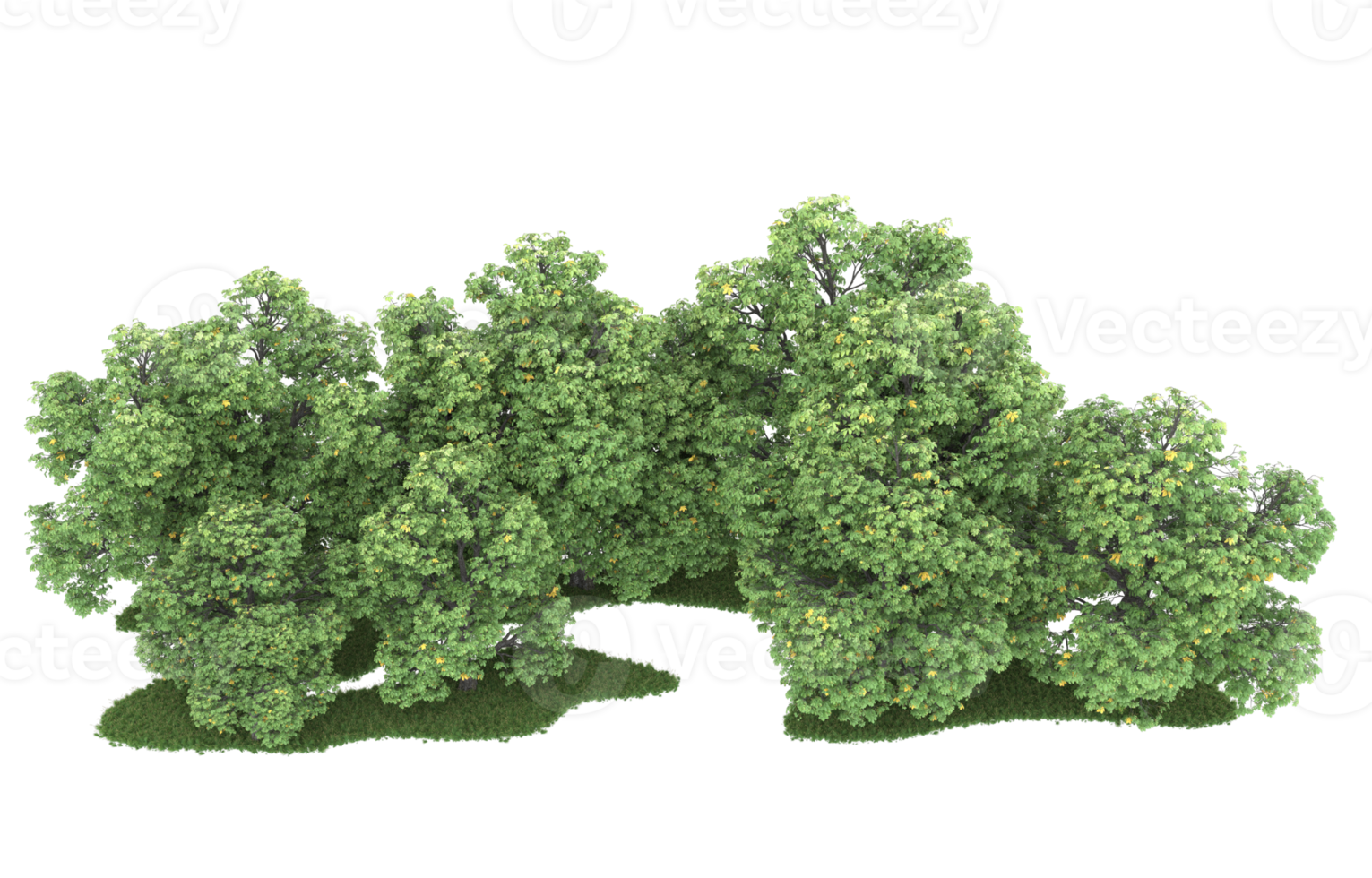 Realistic foliage isolated on transparent background. 3d rendering - illustration png