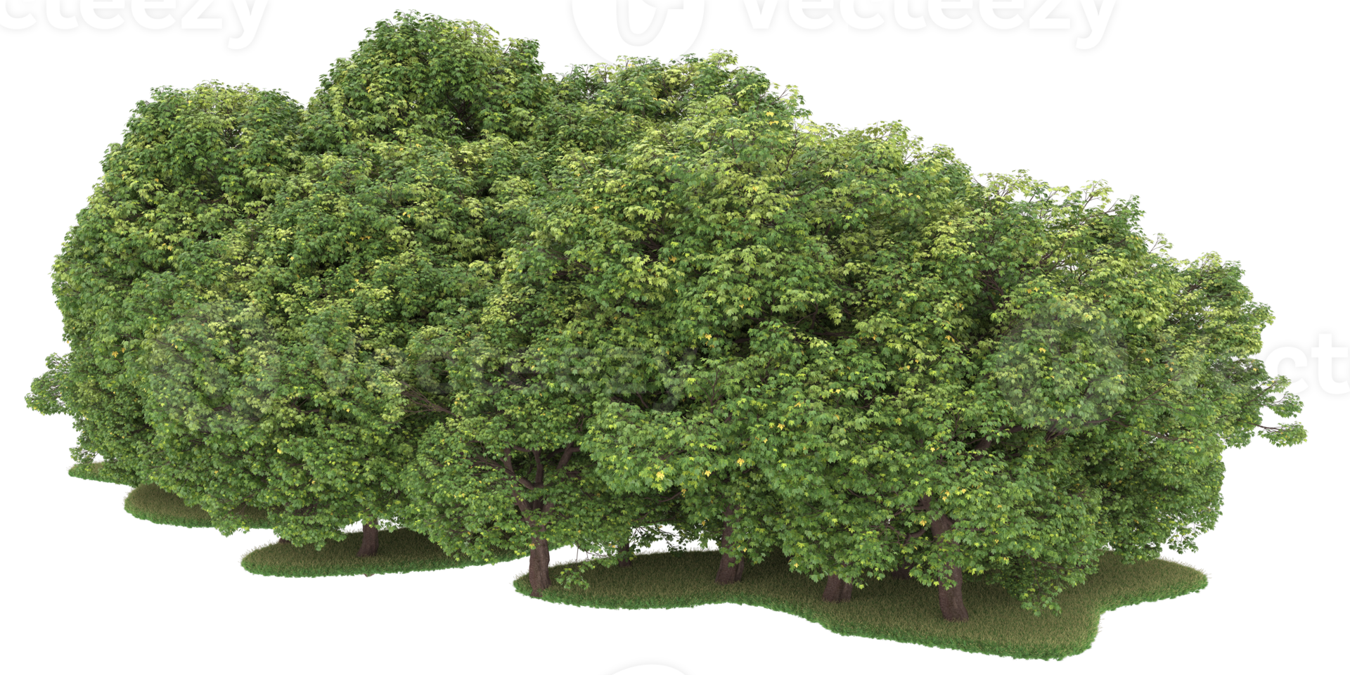Realistic forest isolated on transparent background. 3d rendering - illustration png
