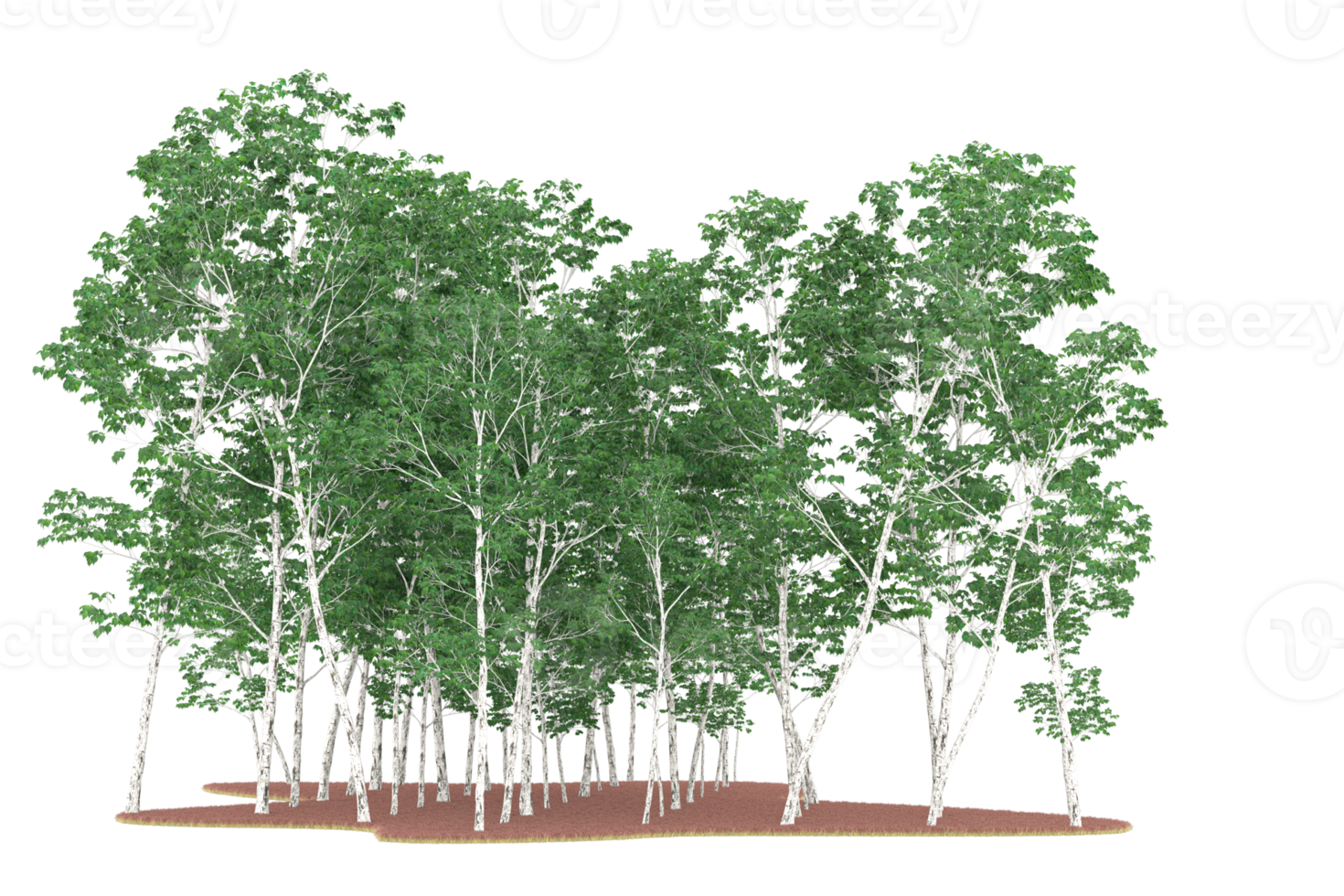 Realistic forest isolated on transparent background. 3d rendering - illustration png