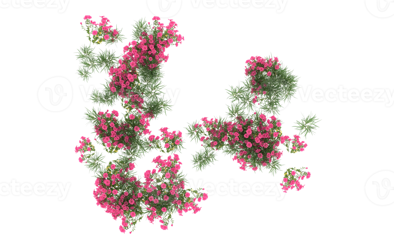 realistisk lövverk isolerat på transparent bakgrund. 3d tolkning - illustration png