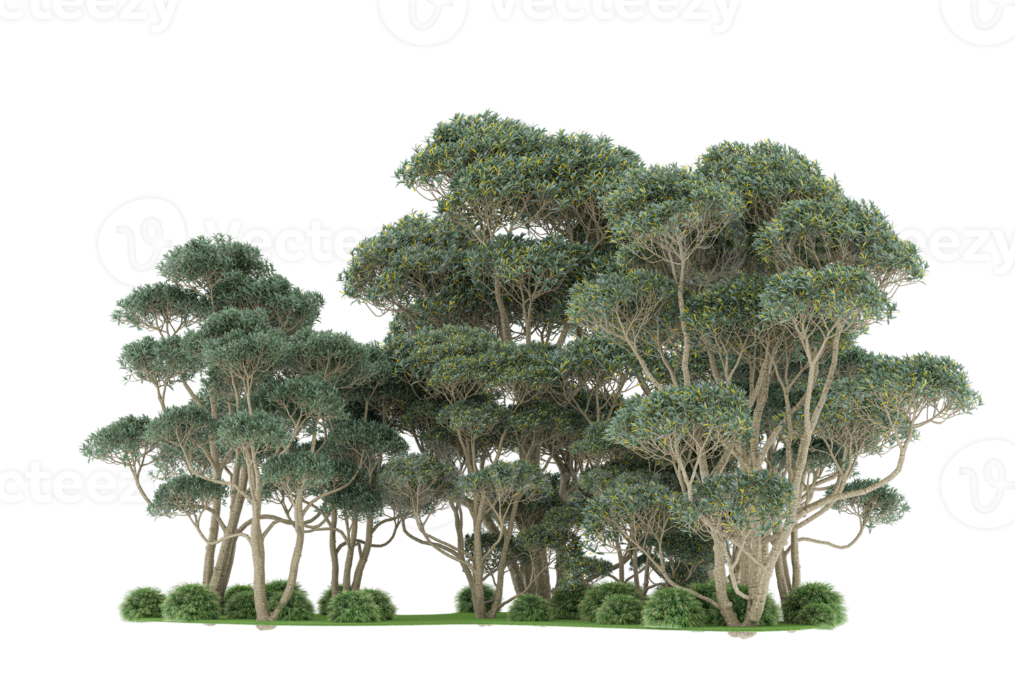 floresta realista isolada em fundo transparente. renderização 3D - ilustração png