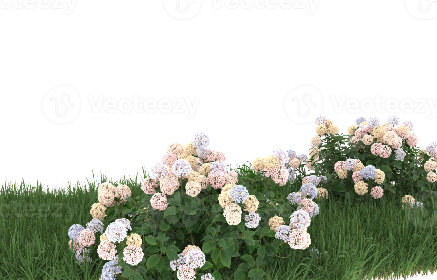 Realistic foliage isolated on transparent background. 3d rendering - illustration png