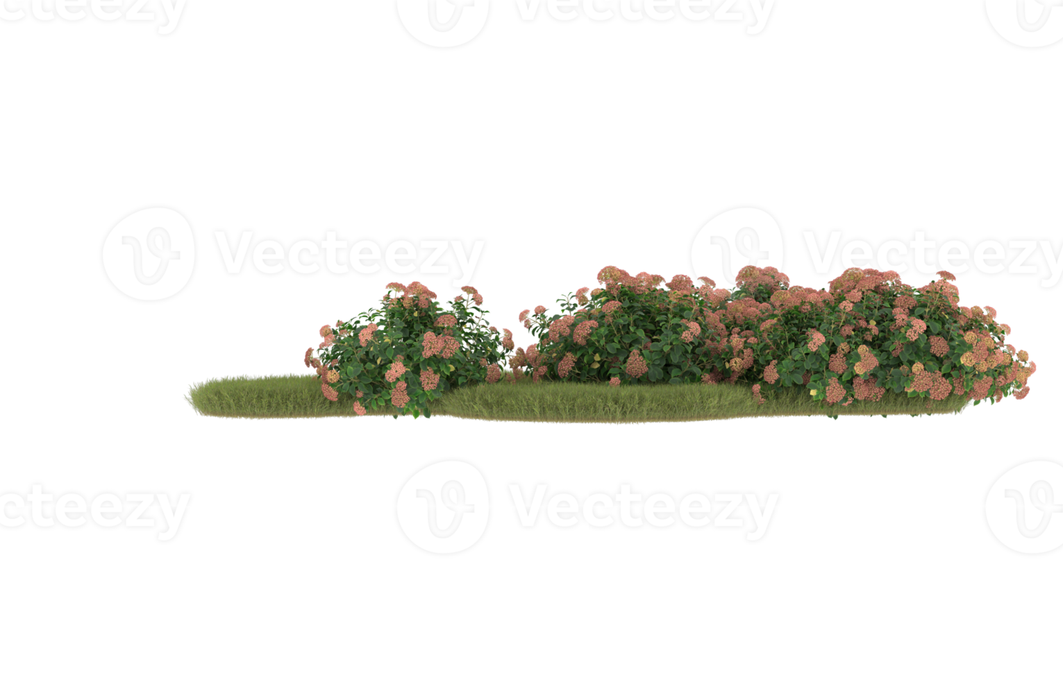 Realistic foliage isolated on transparent background. 3d rendering - illustration png