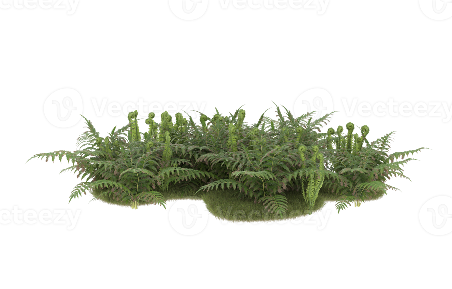 realistisk lövverk isolerat på transparent bakgrund. 3d tolkning - illustration png