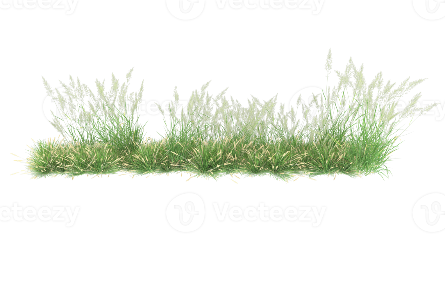 Realistic foliage isolated on transparent background. 3d rendering - illustration png