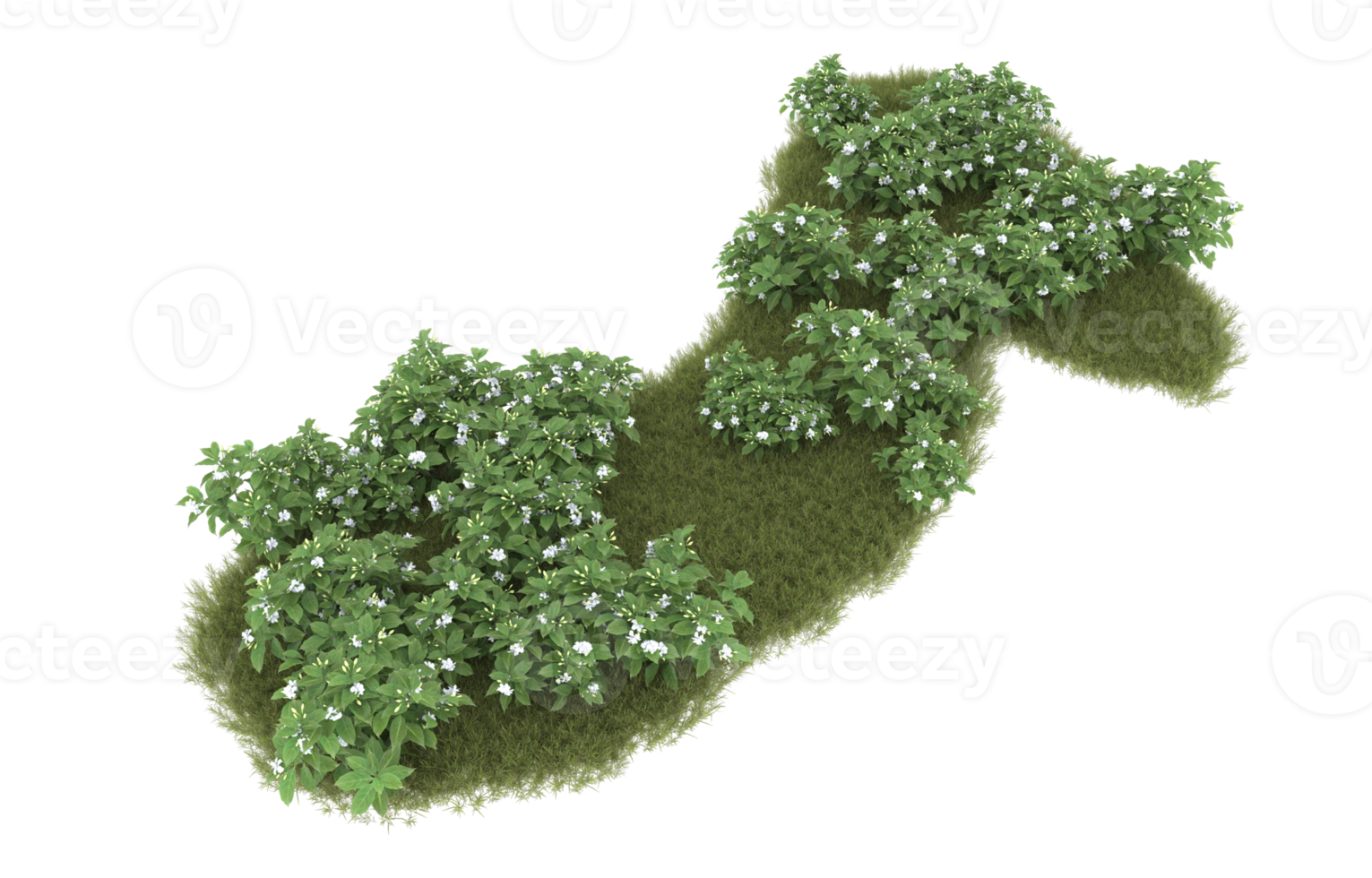 realistisk lövverk isolerat på transparent bakgrund. 3d tolkning - illustration png