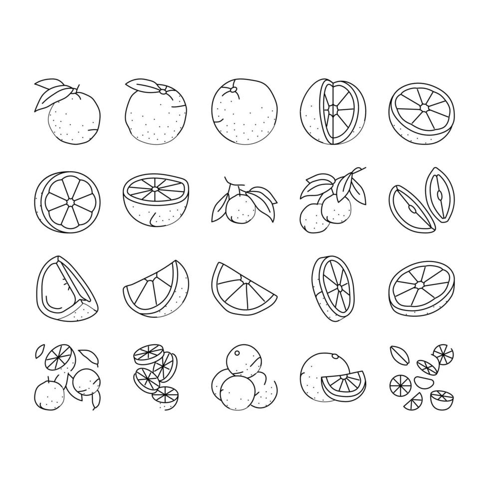 orange citrus fresh slice juice icons set vector
