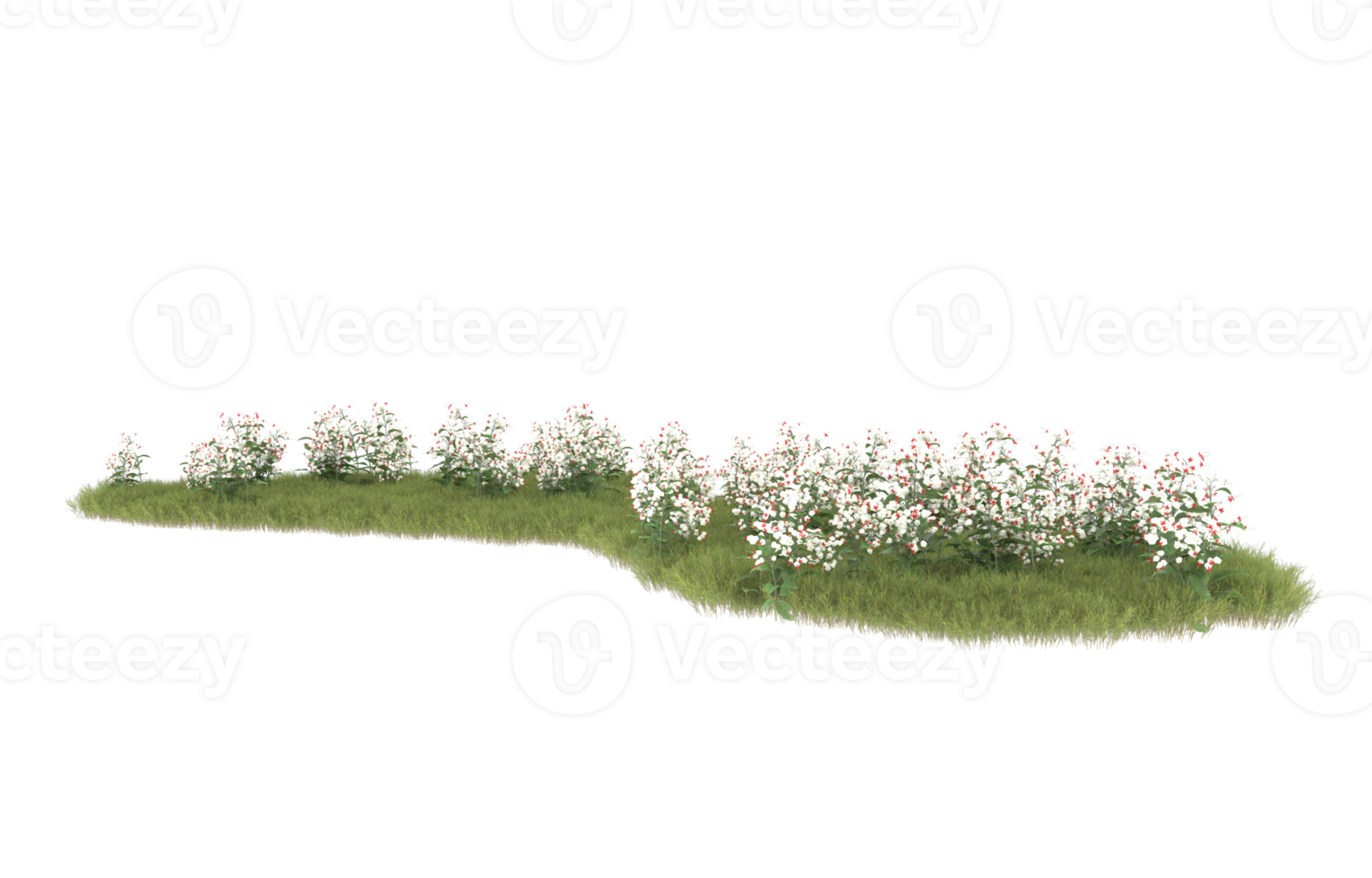 realistisk lövverk isolerat på transparent bakgrund. 3d tolkning - illustration png