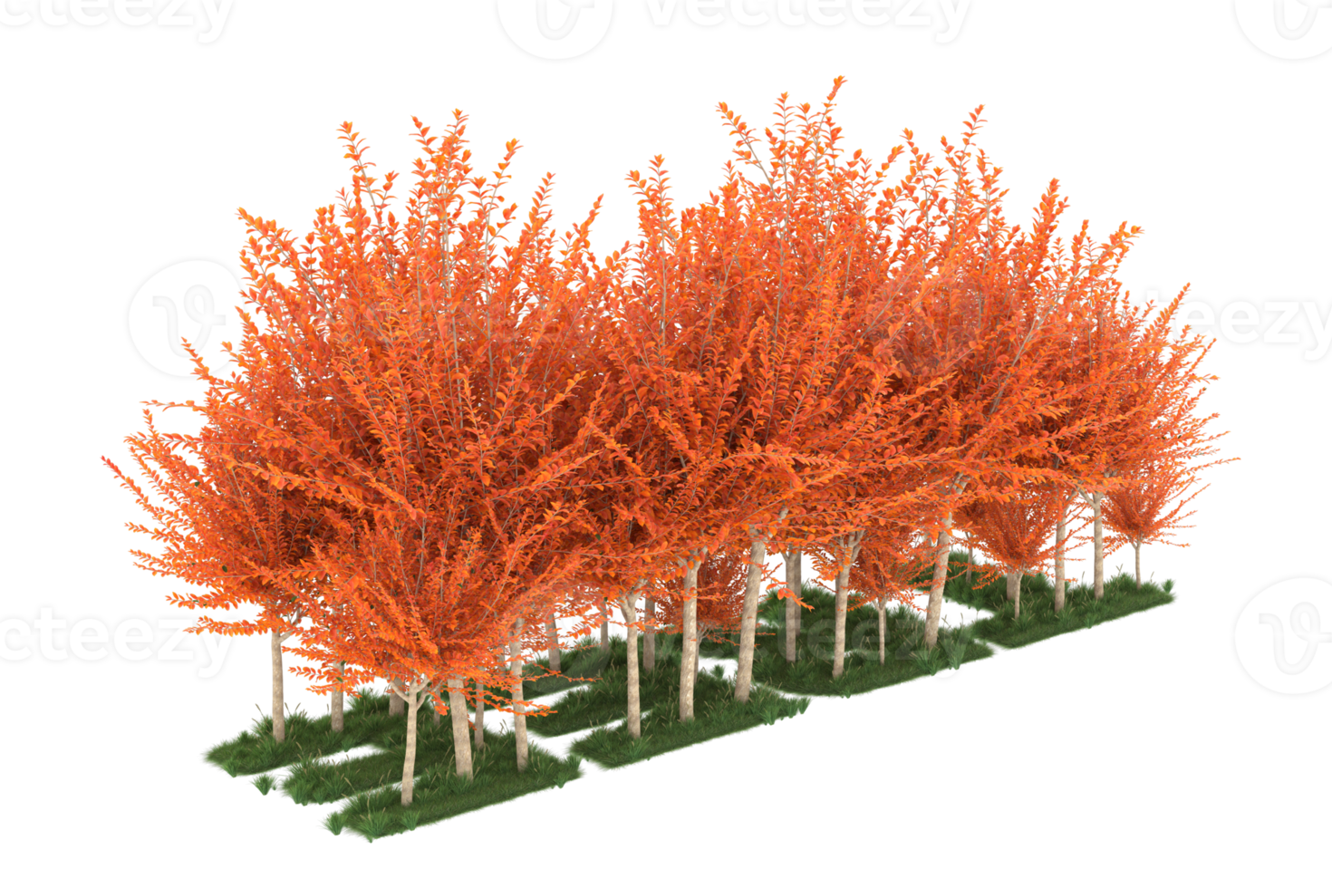 Realistic forest isolated on transparent background. 3d rendering - illustration png