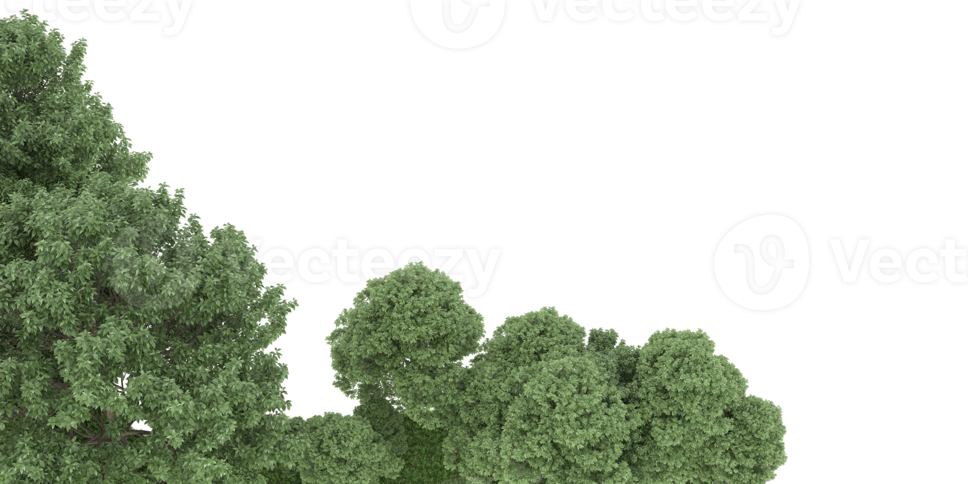 Realistic forest isolated on transparent background. 3d rendering