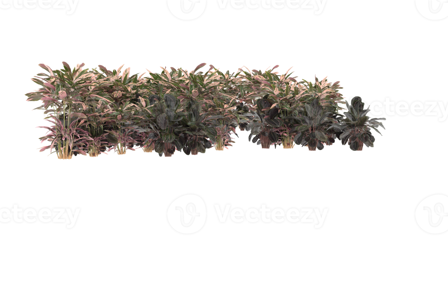 Realistic foliage isolated on transparent background. 3d rendering - illustration png