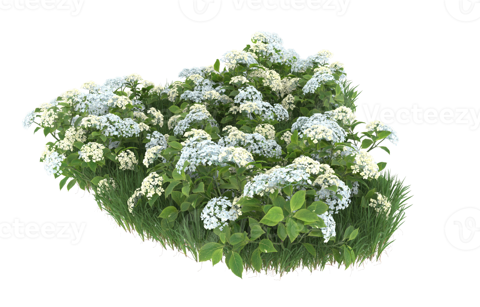 Realistic foliage isolated on transparent background. 3d rendering - illustration png