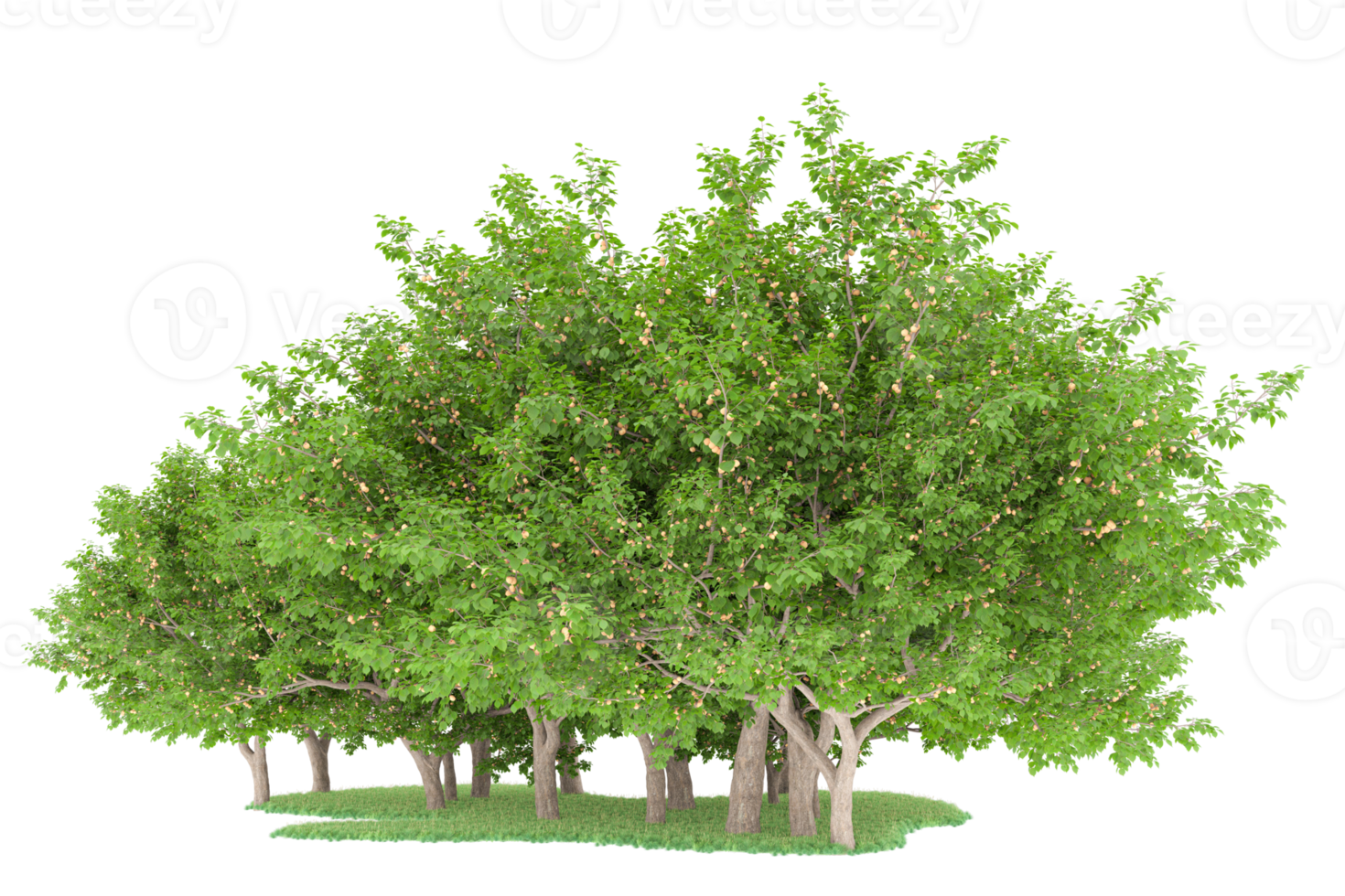 Realistic forest isolated on transparent background. 3d rendering - illustration png
