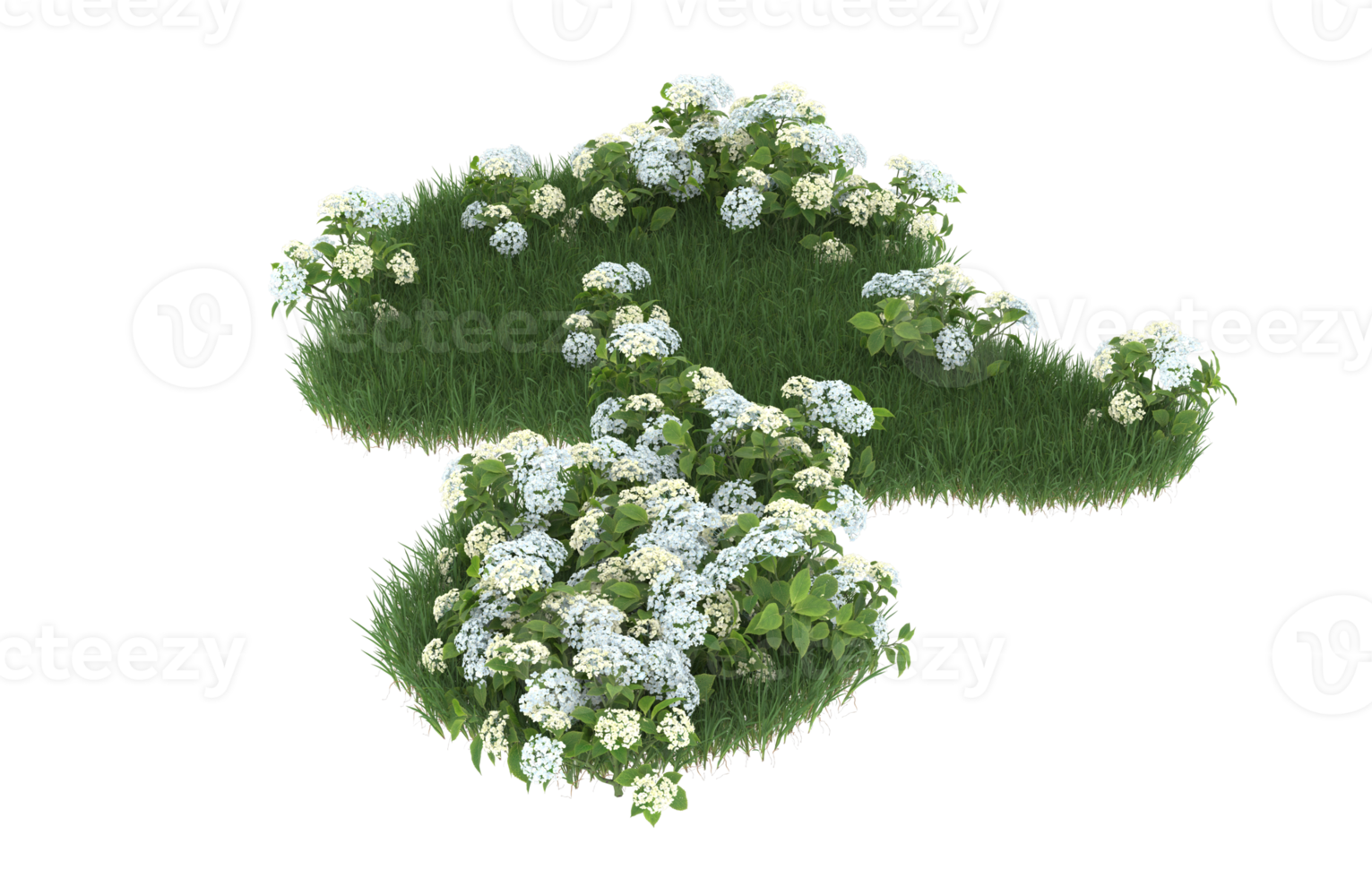 Realistic foliage isolated on transparent background. 3d rendering - illustration png