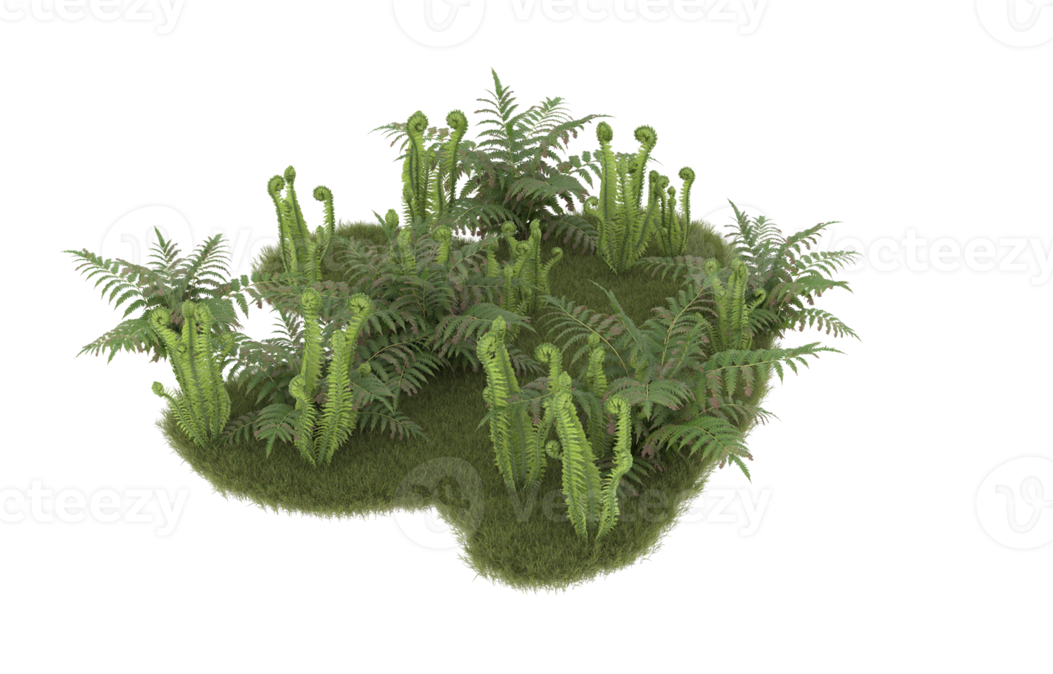 Realistic foliage isolated on transparent background. 3d rendering - illustration png