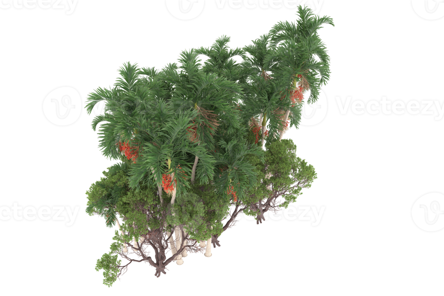 palma alberi isolato su trasparente sfondo. 3d interpretazione - illustrazione png