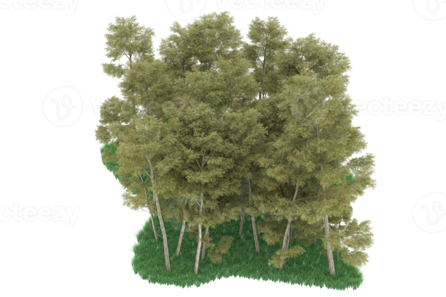 forêt réaliste isolée sur fond transparent. rendu 3d - illustration png