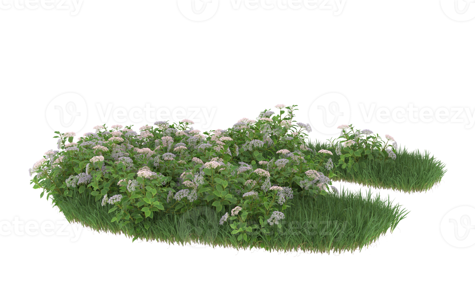 Realistic foliage isolated on transparent background. 3d rendering - illustration png