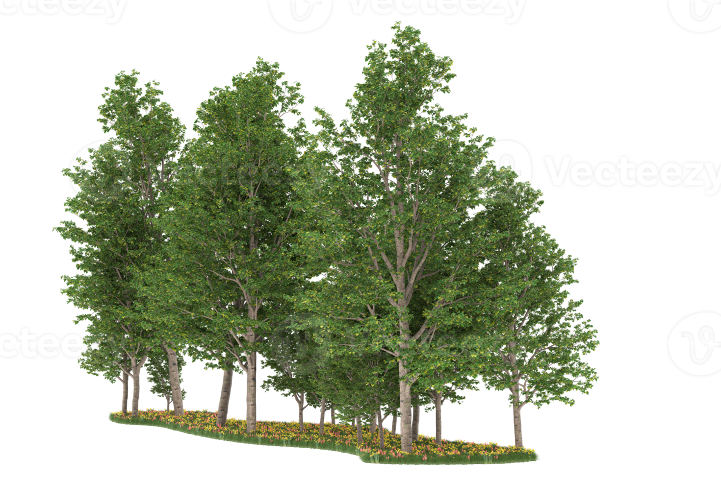 Realistic forest isolated on transparent background. 3d rendering - illustration png