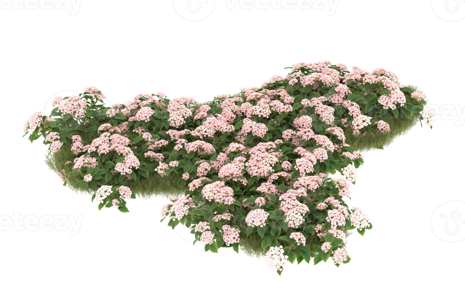 Realistic foliage isolated on transparent background. 3d rendering - illustration png