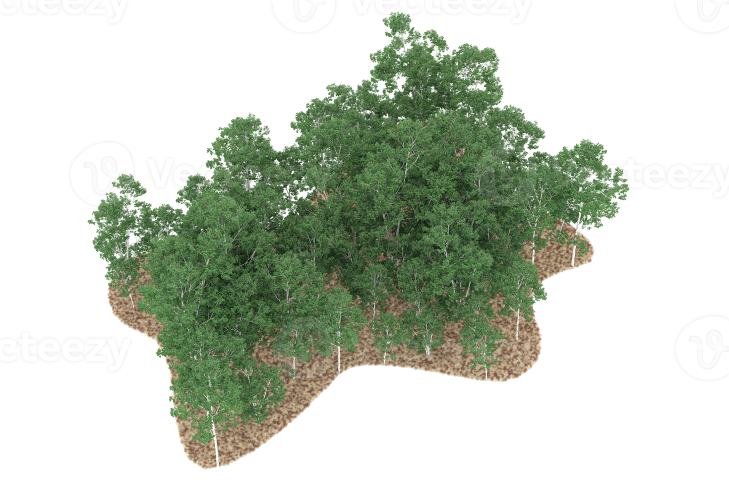 floresta realista isolada em fundo transparente. renderização 3D - ilustração png