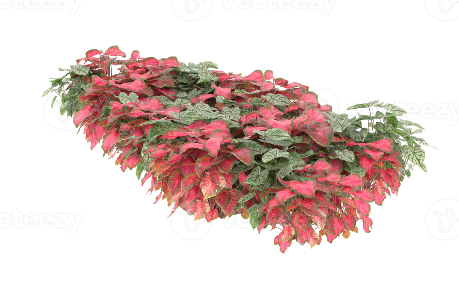 Realistic foliage isolated on transparent background. 3d rendering - illustration png
