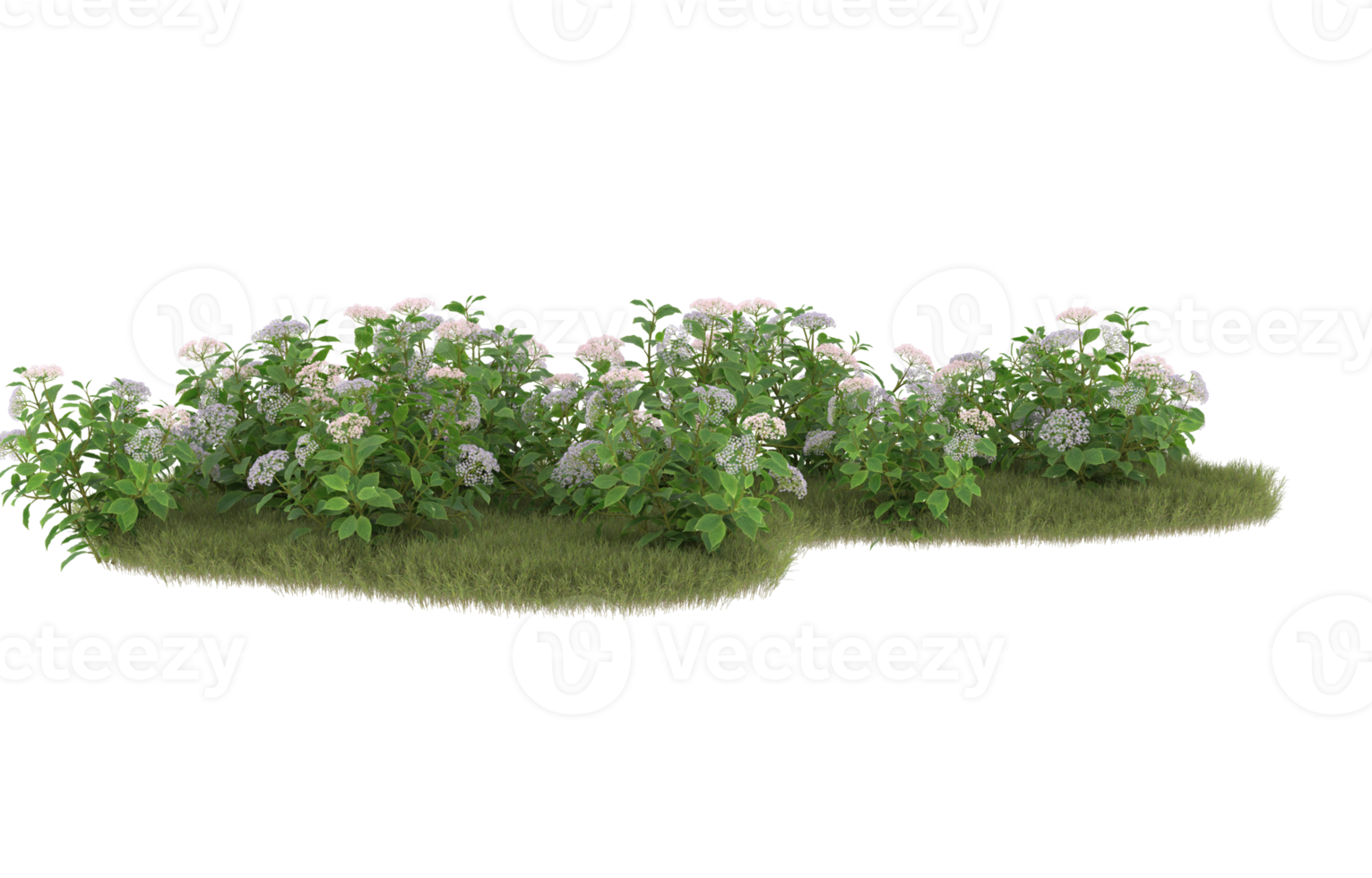Realistic foliage isolated on transparent background. 3d rendering - illustration png